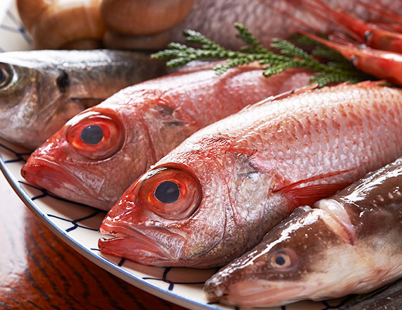 鮮魚