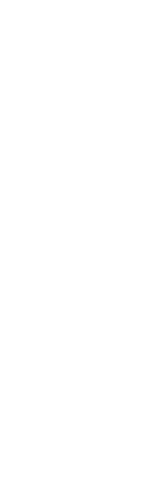 新しい鮨の発見